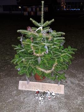 PRAZNIČNA OBČINA ŠKOFLJICA: lokalne skupnosti so okrasile smrečice v drevoredu pri zunanjem igrišču OŠ Škofljica